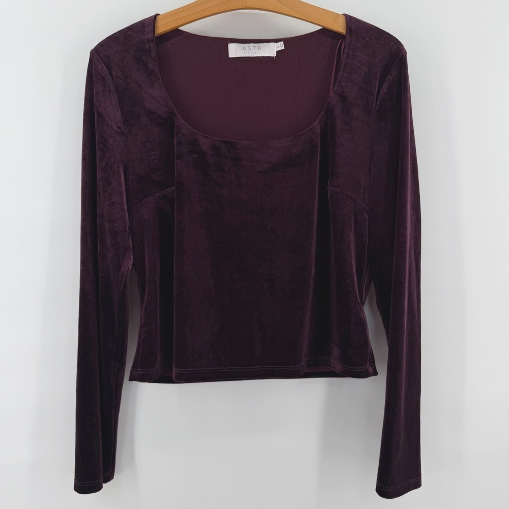 ASTR The Label Crop Top, Women's Burgundy Velvet Square Neck XL Dark Academia